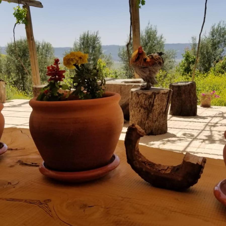 Hotel Le Chene D'Azrou Zewnętrze zdjęcie