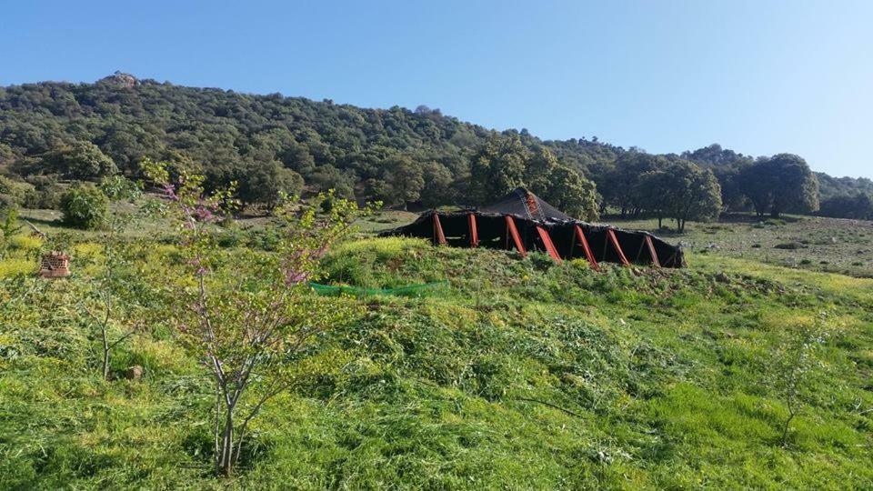 Hotel Le Chene D'Azrou Zewnętrze zdjęcie